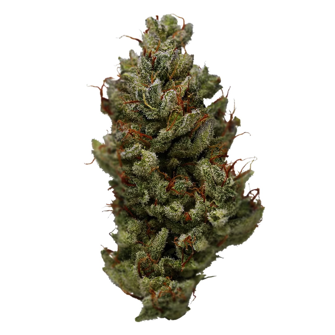 RODO GROW - Flor Indoor ⭐️⭐️⭐️ 🔦 - POWER (Small Batch)