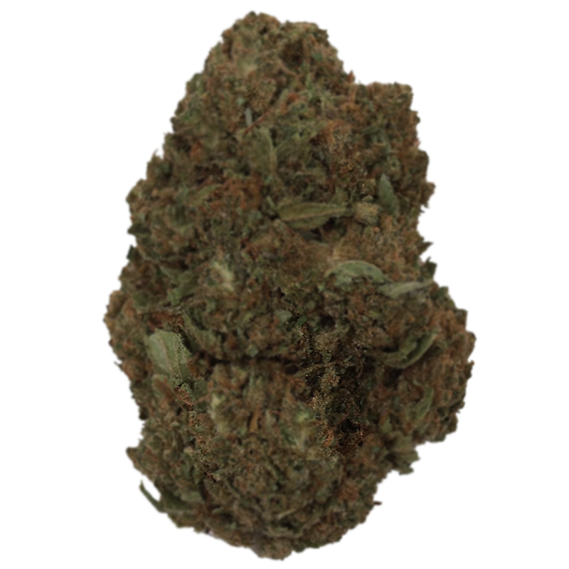 Flor Exterior ⛰️ - AK - 47