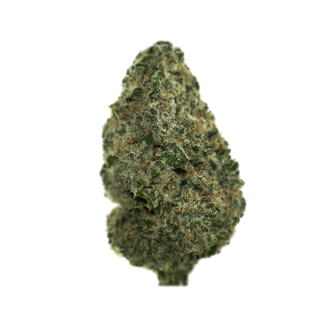 Flor Invernadero Light Dep ⭐️⭐️⭐️ - King Louis XIII