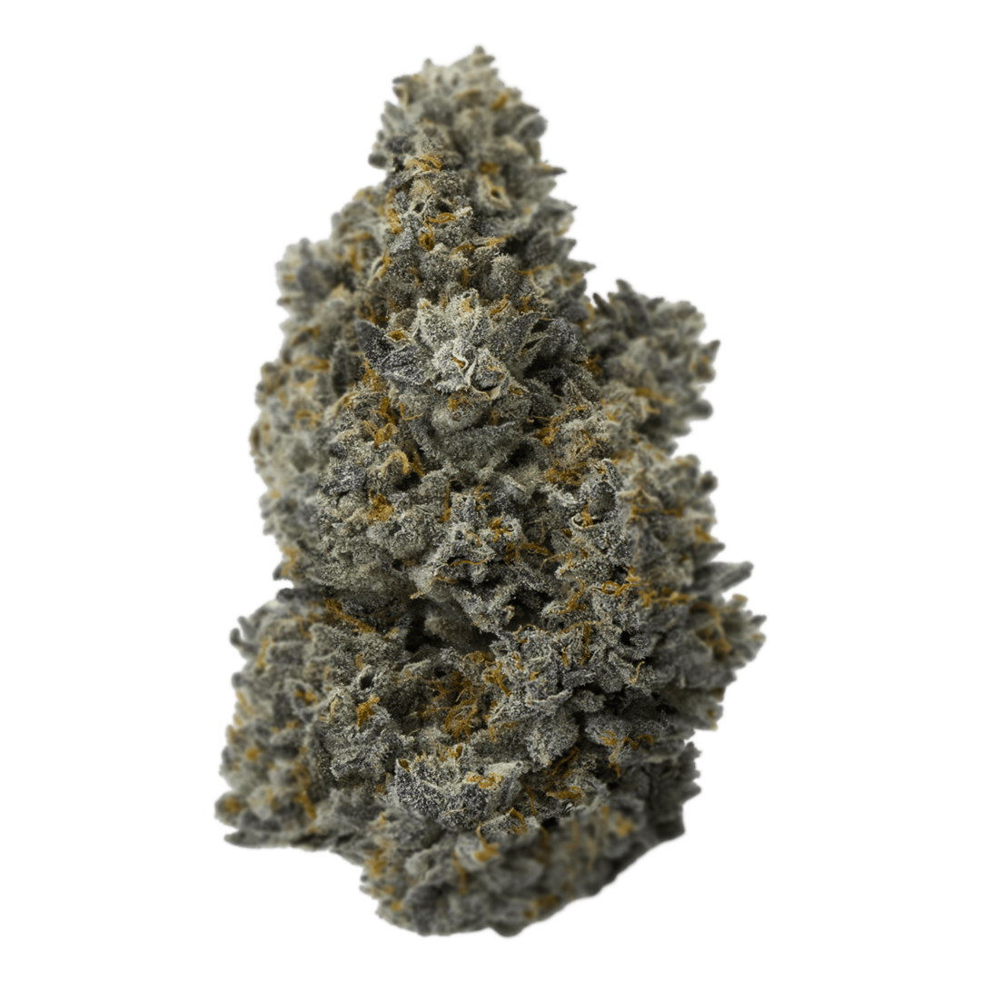 RODO GROW - Flor Indoor ⭐️⭐️⭐️  🔦 - Dante´s Inferno (Small Batch)