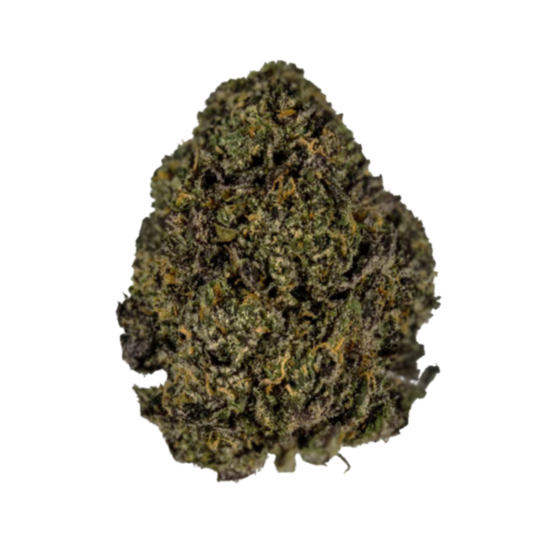 Flor Exterior ⛰️ - Gelato 33