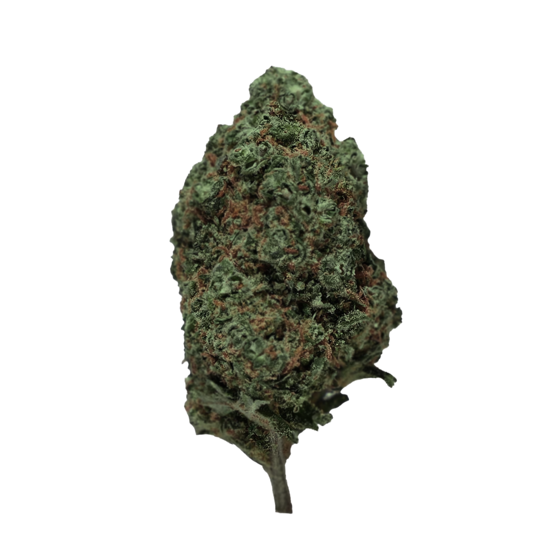 Flor Exterior ⛰️ - Green Poison
