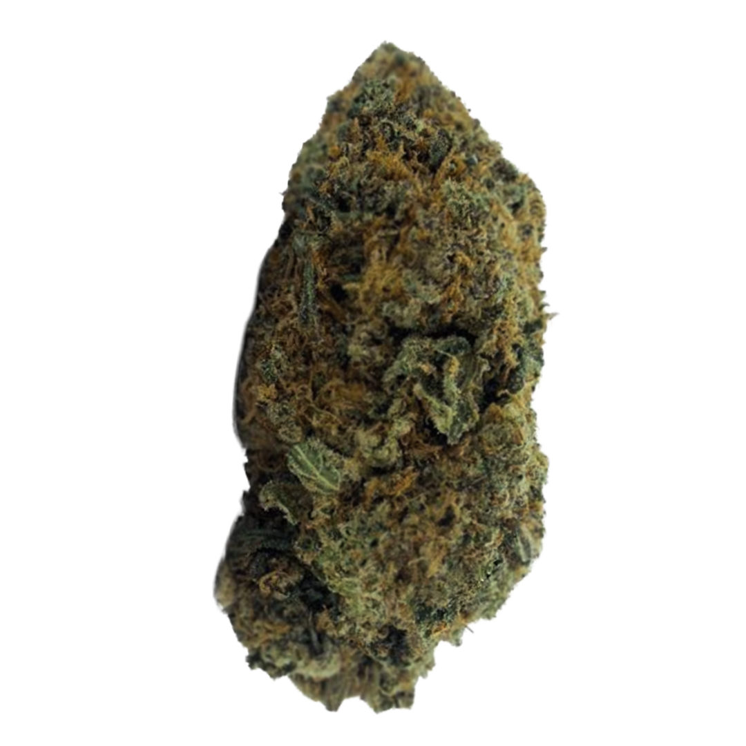 Flor Exterior ⛰️ - Girl Scout Cookies