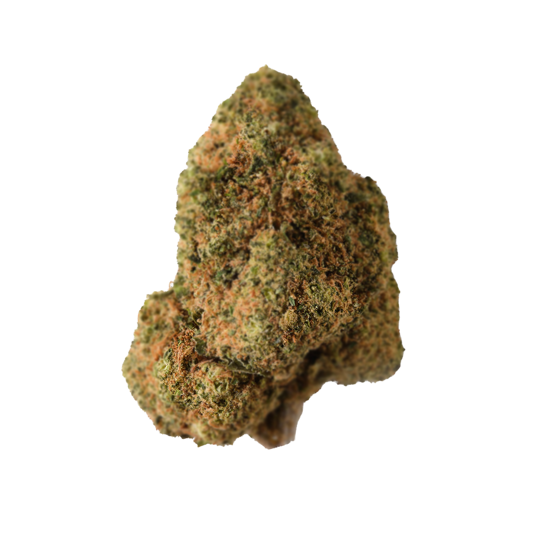 Flor Invernadero ⭐️ - Harlequin