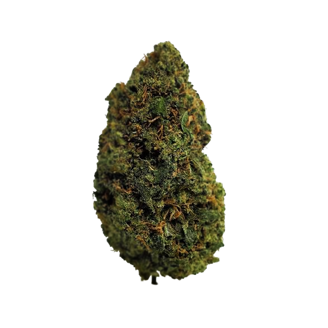 Flor Exterior ⛰️ - Jack Herer