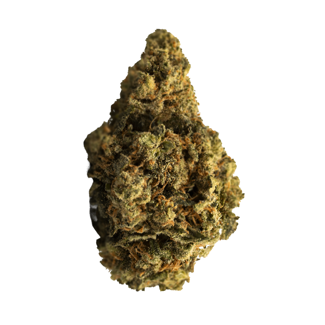 Flor Invernadero ⭐️ - Kosher Kush