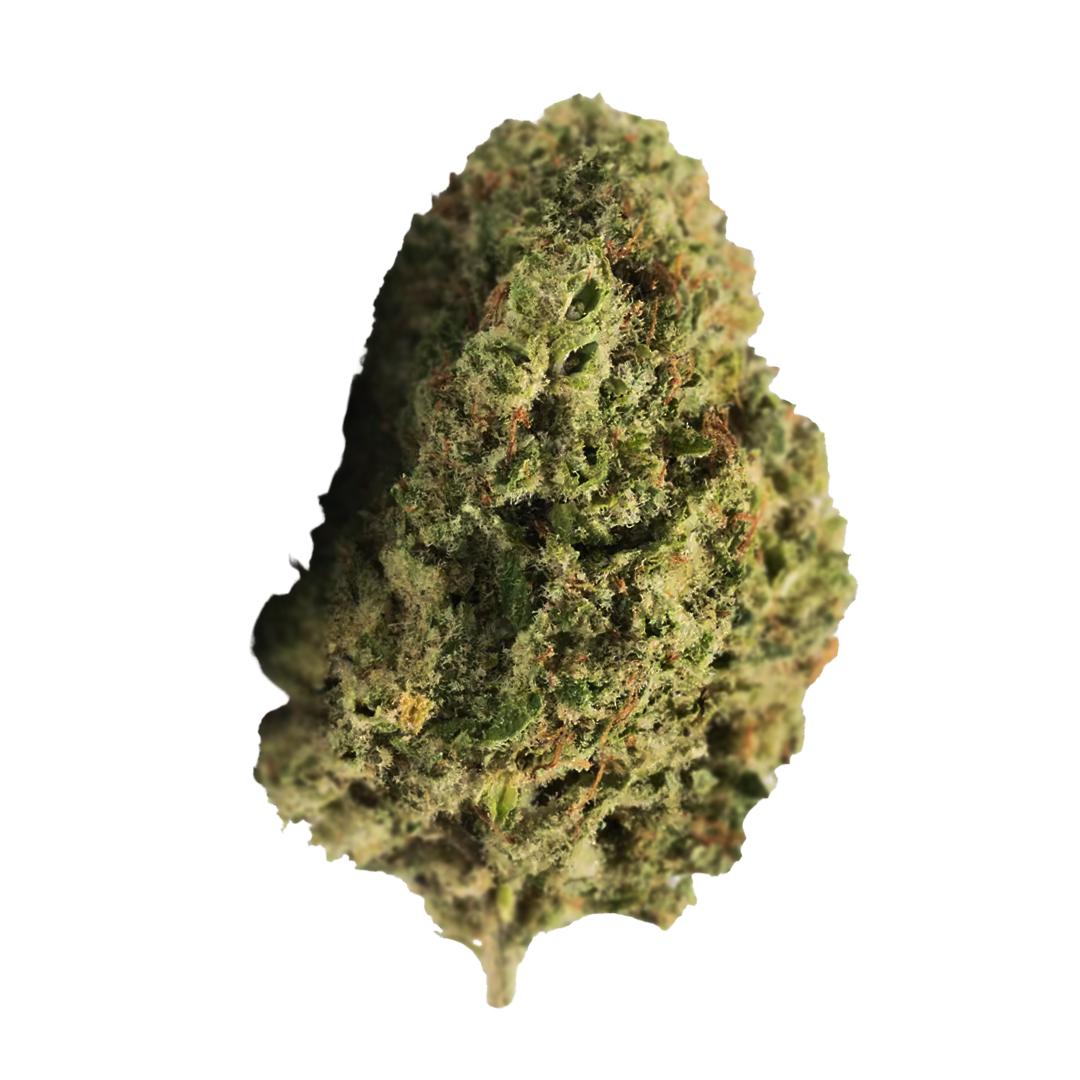 Flor Exterior ⛰️ - Lemon Sativa