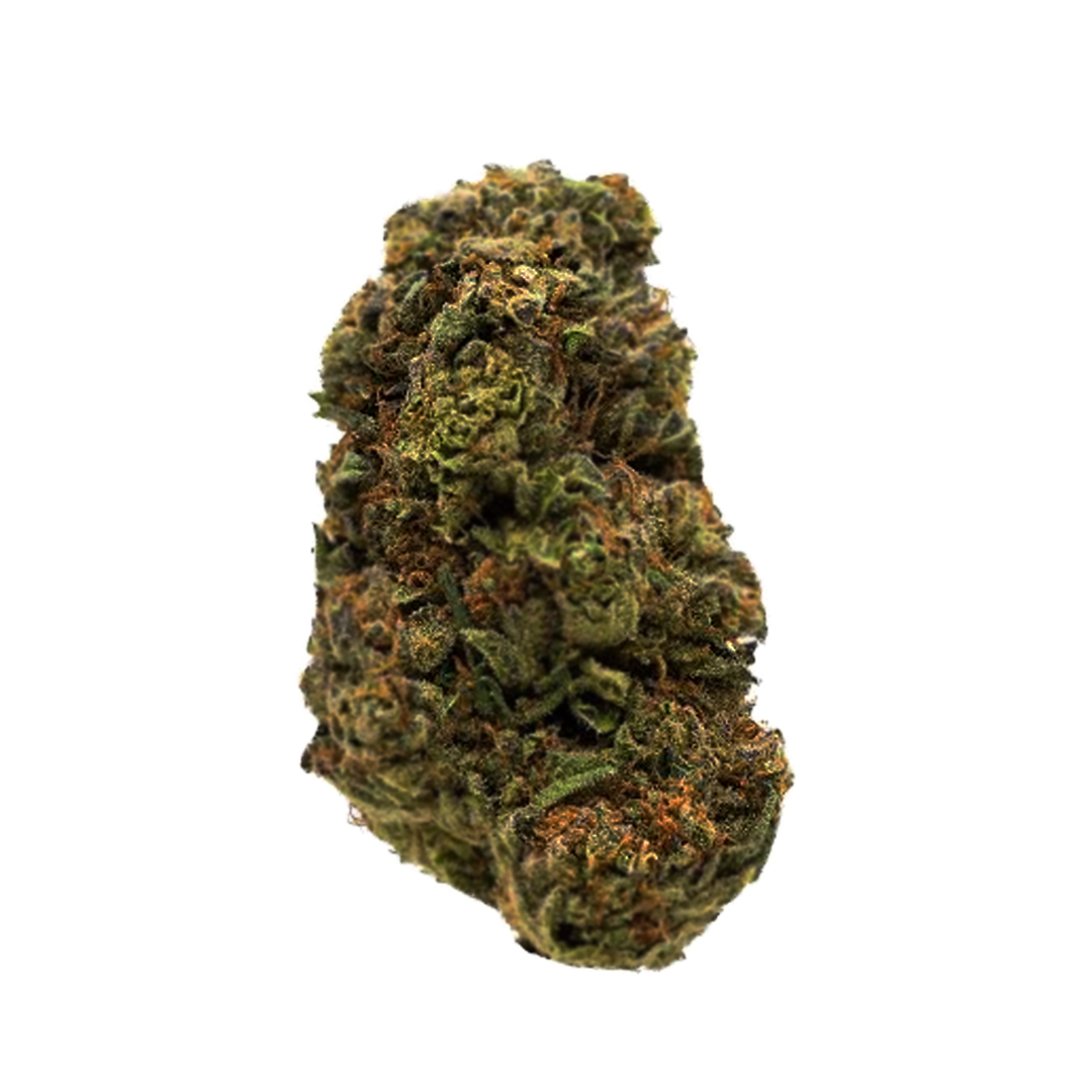 Flor Invernadero ⭐️⭐️ - Northern Lights