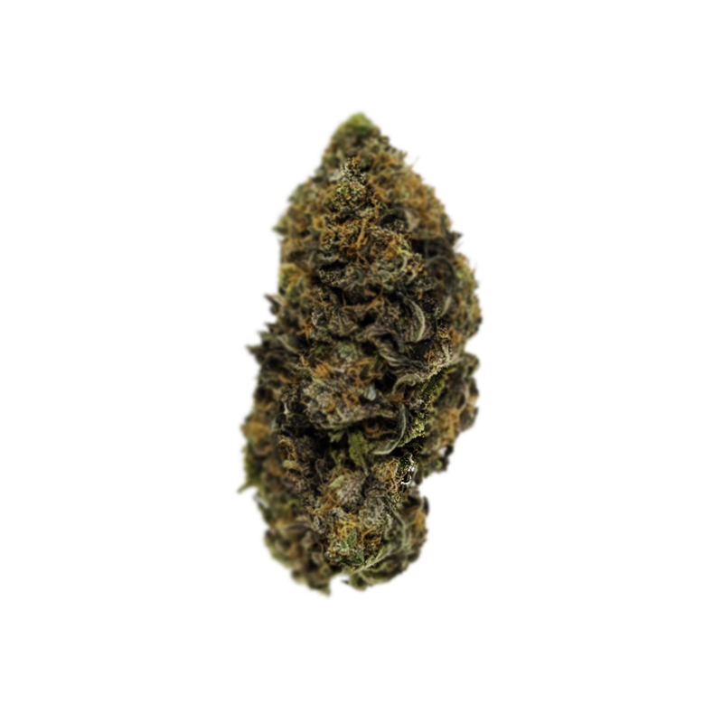 Flor Exterior ⛰️ - Purple Punch