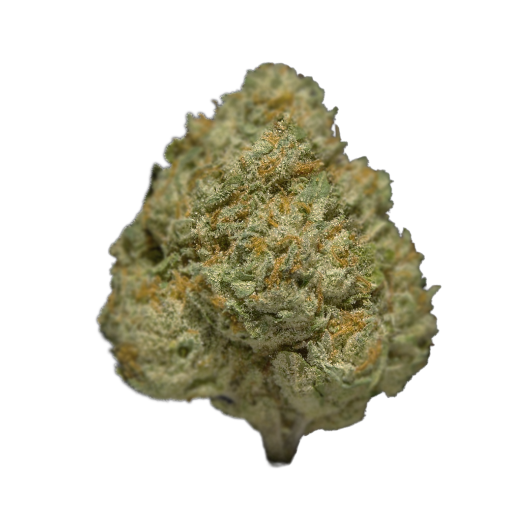Flor Indoor LED 🔦 - Snow Bud