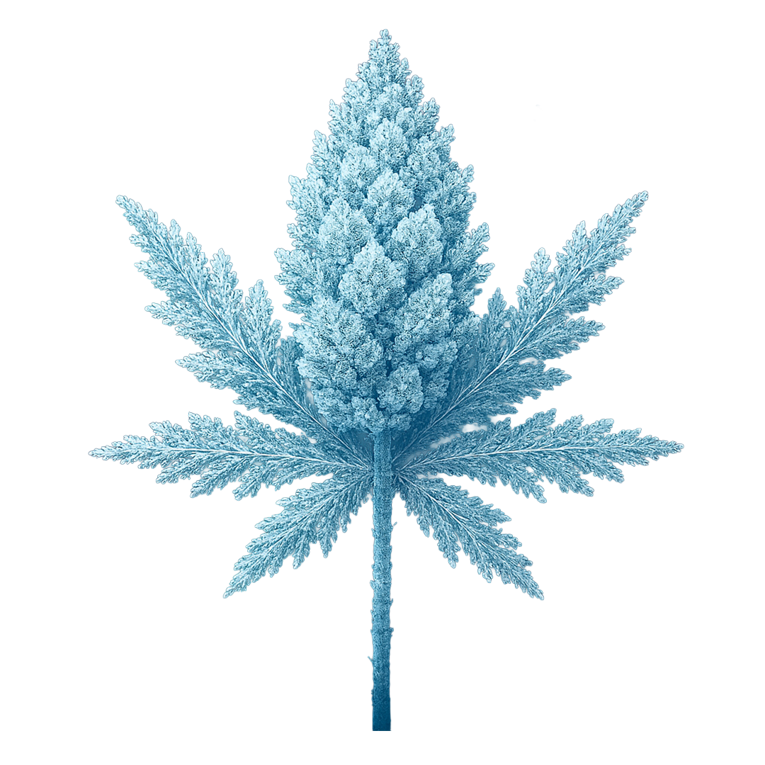Flor Indoor LED 🔦 - Snow Bud