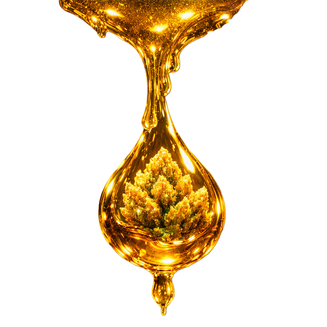BorealizDabz - Live Resin